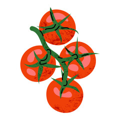 Textured illustration of ripe tomatoes on vine branch. Rustic organic vegetable for food labels, packaging, restaurant branding and agricultural projects. © miss LEMON