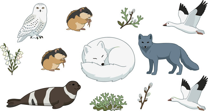 Arctic Wildlife Vector Collection Featuring Arctic Fox, Snowy Owl, Seal, Lemming, Migratory Geese, Tundra Plants, and Polar Habitat Elements