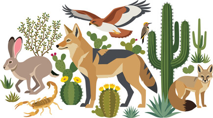 Desert Wildlife Vector Collection Featuring Coyote, Kit Fox, Jackrabbit, Hawk, Woodpecker, Scorpion, Cactus, and Sonoran Desert Animals © MdNazmul