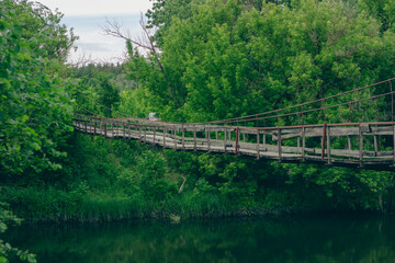 Fototapeta premium An old wooden suspension bridge stretching across a calm river, surrounded by lush green forest trees and dense vegetation under a cloudy sky. Concept of journey, pathway, adventure