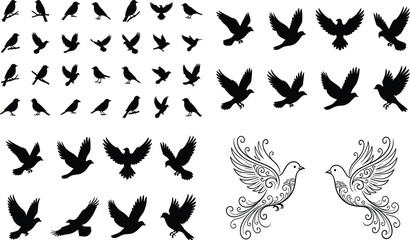 Fototapeta premium Large set of bird silhouettes and decorative line art doves flying and perched isolated on white background