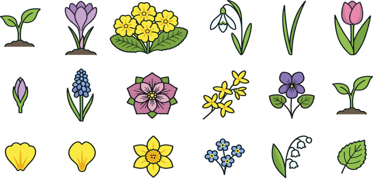 Spring garden flowers vector sticker bundle featuring colorful botanical blossoms tulips crocuses daffodils primroses snowdrops grape hyacinth and young green sprouts