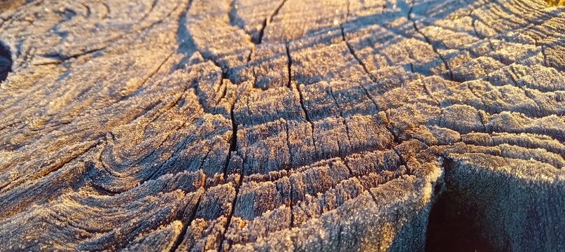 old wood texture