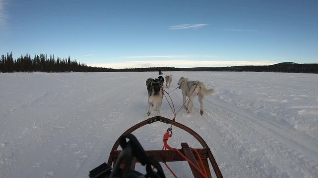 Epic snow adventure in Swedish Lapland with husky sledding and breathtaking frozen landscapes