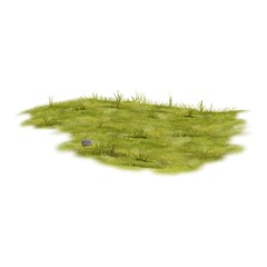 Fototapeta premium A serene landscape of lush green grass with a small rock in a natural setting.