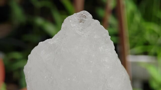 Clear alum lumps placed on tree stumps.