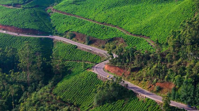 Scenic Aerial View of Winding Road Passing Through Lush Green Tea Plantations in Munnar with Rolling Hills, Misty Mountain Landscape, Tropical Agriculture, Peaceful Countryside Scenery and Beautiful K