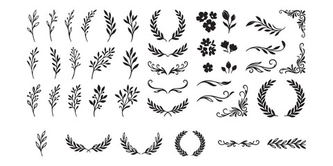 Hand drawn floral branch and leaf vector elements set for wedding invitation design © md