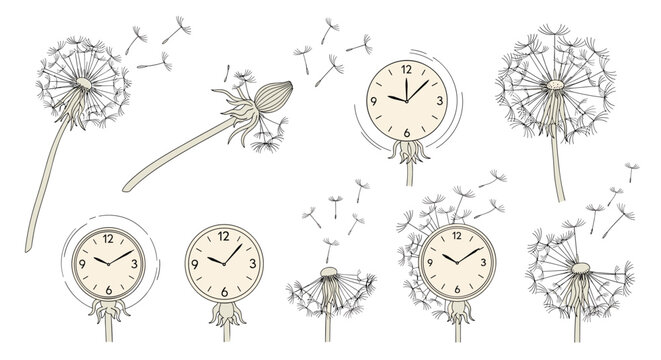 Artistic composition combining delicate dandelions and clocks illustrates the concept of time passing and nature fragility.