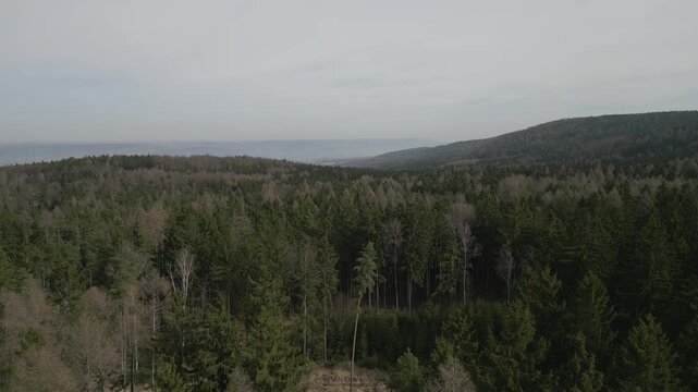 Aerial drone panorama captures the vast mixed forests of the Brdy highlands near Rochota during early spring, showing a blend of evergreen conifers and leafless deciduous trees across rolling hills.