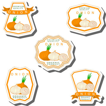 Set tasty natural eco product vegetable onion