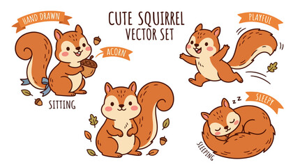 Hand drawn cute squirrel vector set, playful forest animal illustrations, brown squirrel sitting with acorn and sleeping, woodland wildlife character collection © sidra