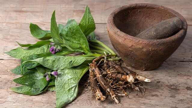 Fresh comfrey leaves and roots placed beside a rough clay mortar on wood.