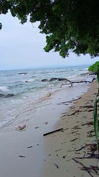 Scenic view of Radhanagar Beach on Havelock Island with gentle ocean waves, rocks, and lush overhanging trees, Andaman and Nicobar Islands.