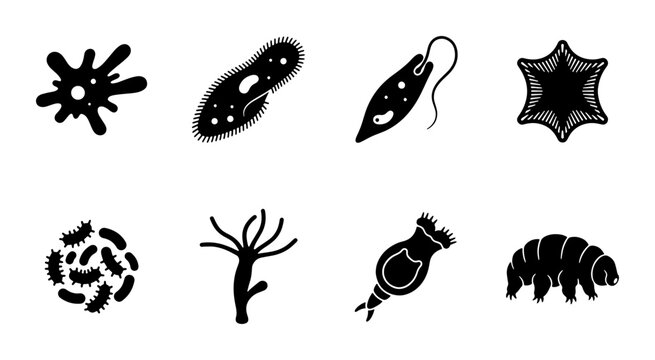 Microscopic Organisms Vector Icons, Single-celled Life Forms Set, Diverse Biology Elements Collection, Scientific Illustration Graphics