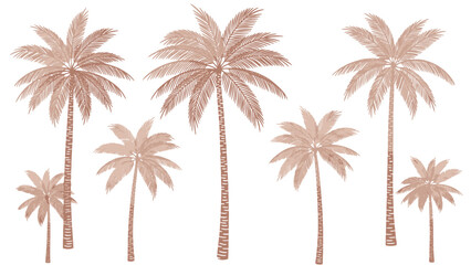 Fototapeta premium Group of palm trees illustrated in warm watercolor tones across a soft background.