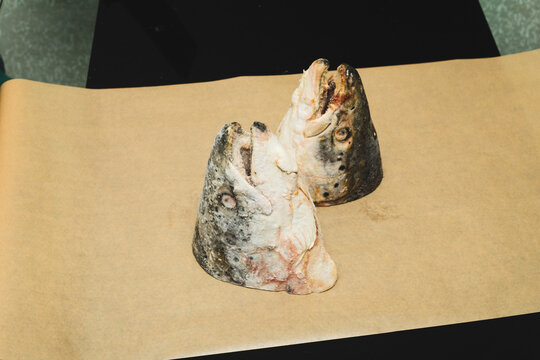 Frozen salmon heads placed on black table for freezer storage, frozen heads ready for future soup or ukha cooking, frozen seafood ingredient ideal for bulk buying and home preservation. 