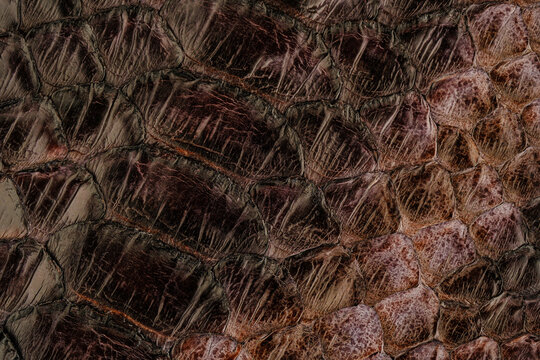 Python skin leather texture with glossy scale pattern and exotic reptile fashion background