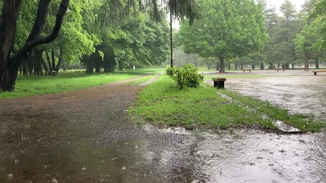 Heavy rain pouring down on a path in a green park creating ripples in a large puddle with audio included