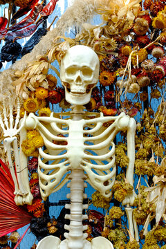 Skeleton Decoration with Dried Flowers