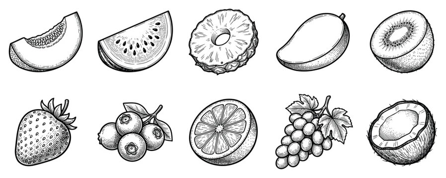 Fruit icons set. Healthy eating and fresh produce concept. Includes melon slice, watermelon slice, pineapple ring, mango, kiwi half, strawberry, blueberries, orange slice, grapes, coconut