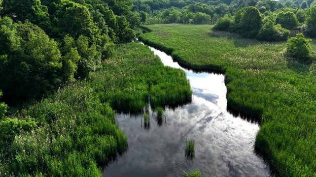Backward drone fly over Dan Baker Cove winding wetland stream through dense green marsh vegetation and forest landscape, Springfield, Massachusetts, USA