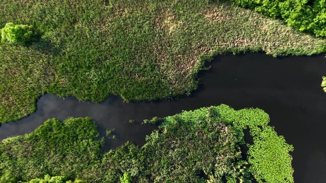 Top-down drone descending toward winding Dan Baker Cove waterway with green wetland vegetation, Springfield, Massachusetts, USA