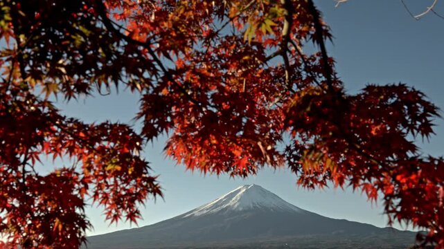Camera tilts down through colorful red momiji foliage to reveal a panoramic view of Mount Fuji and the tranquil waters of Lake Kawaguchiko with grounded rowboats on the shore