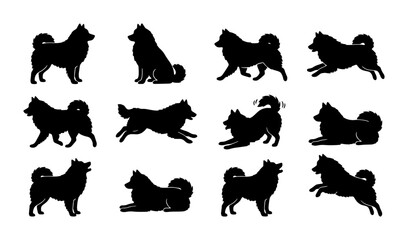 Siberian Husky Silhouette Set, 12 Dog Poses Vector Collection, Black Canine Graphics for Pet Lovers and Animal Design Projects © Taslima