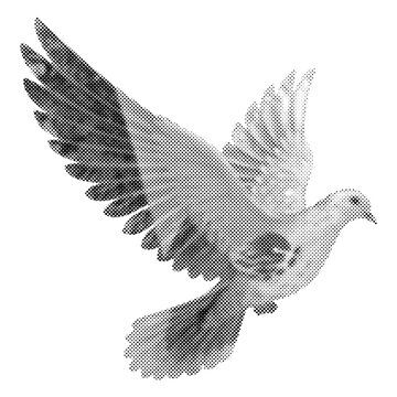 A stylized, black and white halftone dot pattern illustration of a dove in flight, symbolizing peace and freedom, isolated on a clean white background.