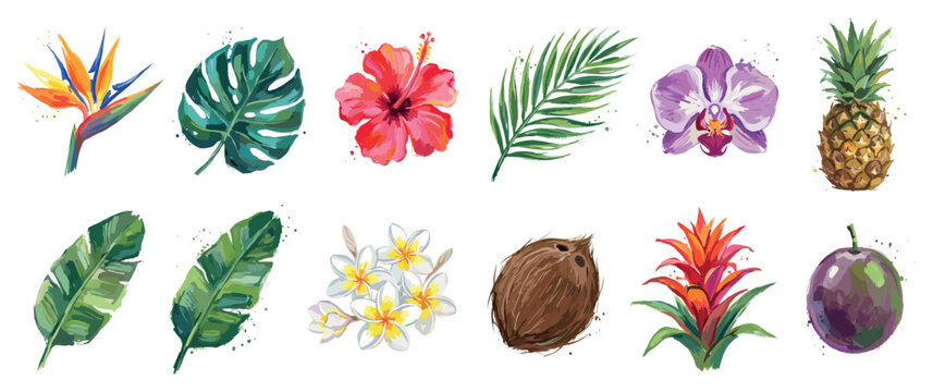 Tropical plant and fruit icons set. Exotic nature and summer vacation concept. Includes bird of paradise flower, monstera leaf, hibiscus, palm frond, orchid, pineapple, banana leaf,