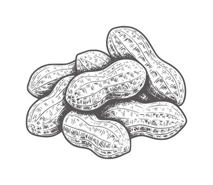 Pile of whole peanuts in shells with line texture food snack