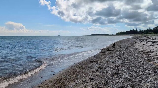 Baltic Sea coastline with a scenic beach and dramatic clouds on Fehmarn, Germany
