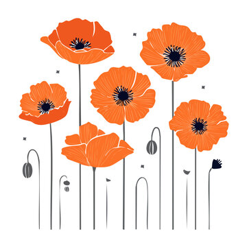Orange Poppy Flowers Flat Design Illustration