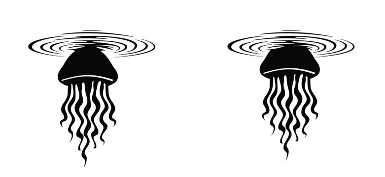 Jellyfish, soft, transparent sea creature. A gelatinous, usually transparent marine organism with an umbrella-shaped body, the bell, and tentacles that release a stinging or burning venom upon contact