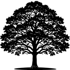 Fototapeta premium Large Oak Tree Silhouette Vector - Isolated Old Tree on Grass Graphic