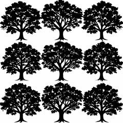 Obraz premium Tree Silhouette Vector Set - Deciduous and Oak Trees Collection Graphic