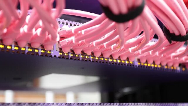 Close-up of pink network cables plugged into a server rack with blinking lights