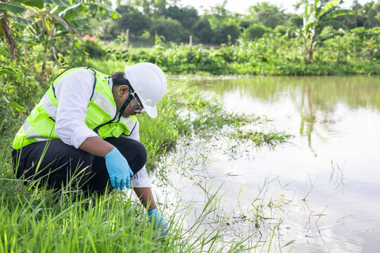 Environmental engineer collecting water samples for quality analysis in a rural wetland.