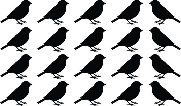 Black sparrow and finch bird silhouette pattern vector collection set featuring multiple identical small standing songbirds