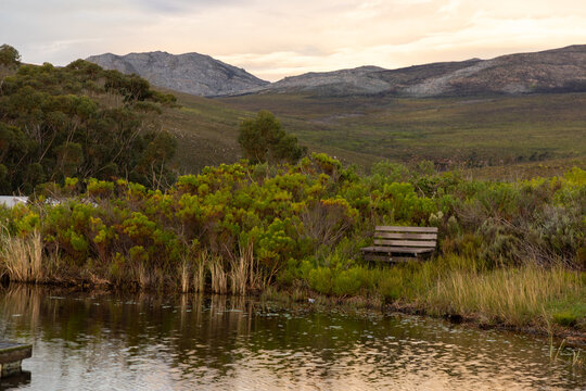 pond, reflections at sunset and dusk