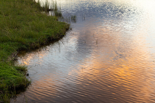 pond, reflections at sunset and dusk