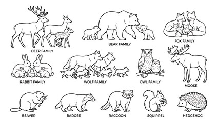Forest animal family line art collection, 12 woodland wildlife vector icons, minimalist black and white nature illustrations for coloring books © Muhammad