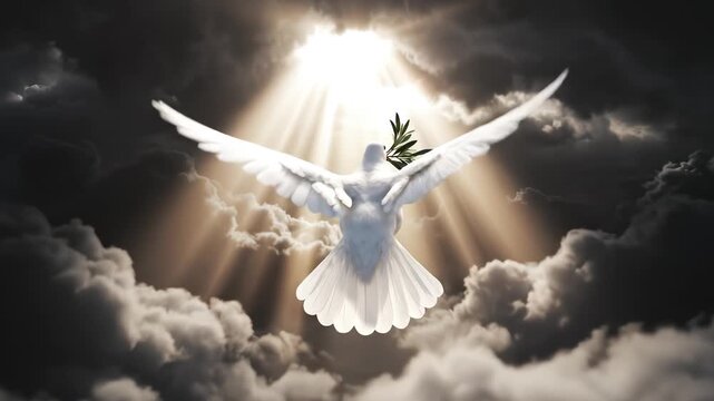 White dove with olive branch in sky