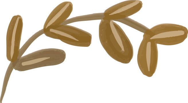 Hand drawn leaf folliage element illustration
