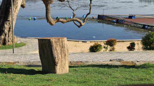 A section of a tree trunk serves as decorative seating in a lakeside garden.