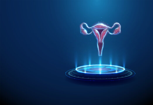 3D blue podium with uterus. Reproductive health, gynecology, fertility, women wellness, medical research, anatomy, hormonal balance, science, presentation concept