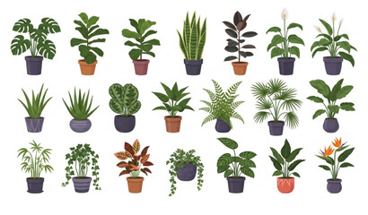 Collection of diverse houseplants in pots for indoor gardening and decoration © Nurnobi