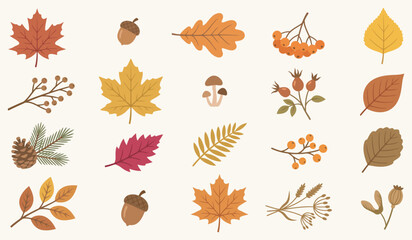 Autumn botanical elements flat design collection. EPS 10 © The Little Foot