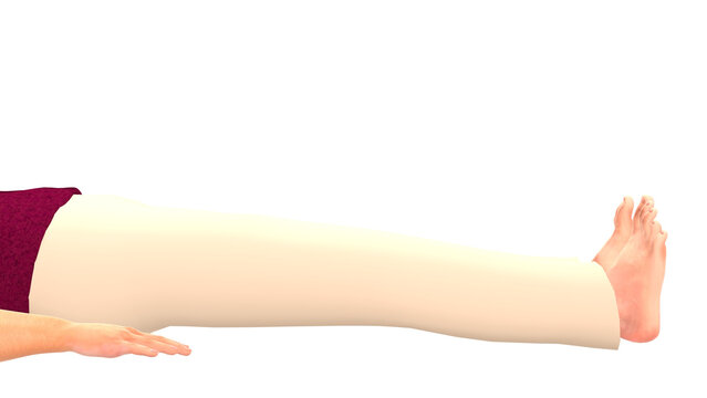 Human Closeup Supine Bilateral Knee Extension Matte Alpha